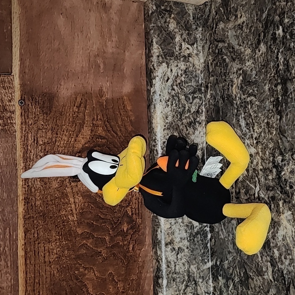 Looney Toons Daffy Duck in his Halloween costume